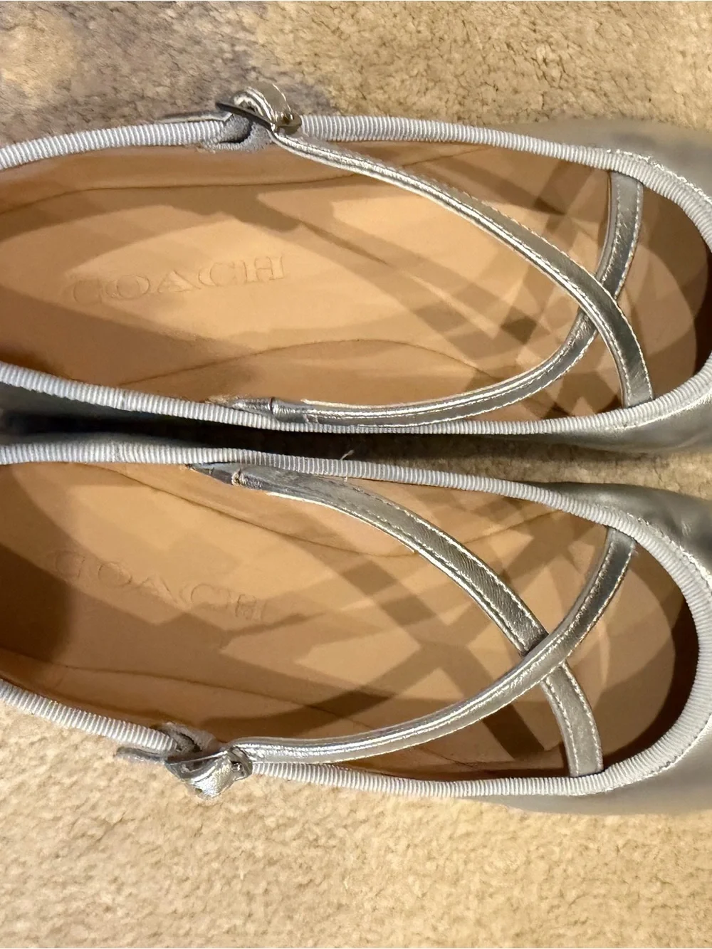 Coach Phoebe Silver Ballet Flats